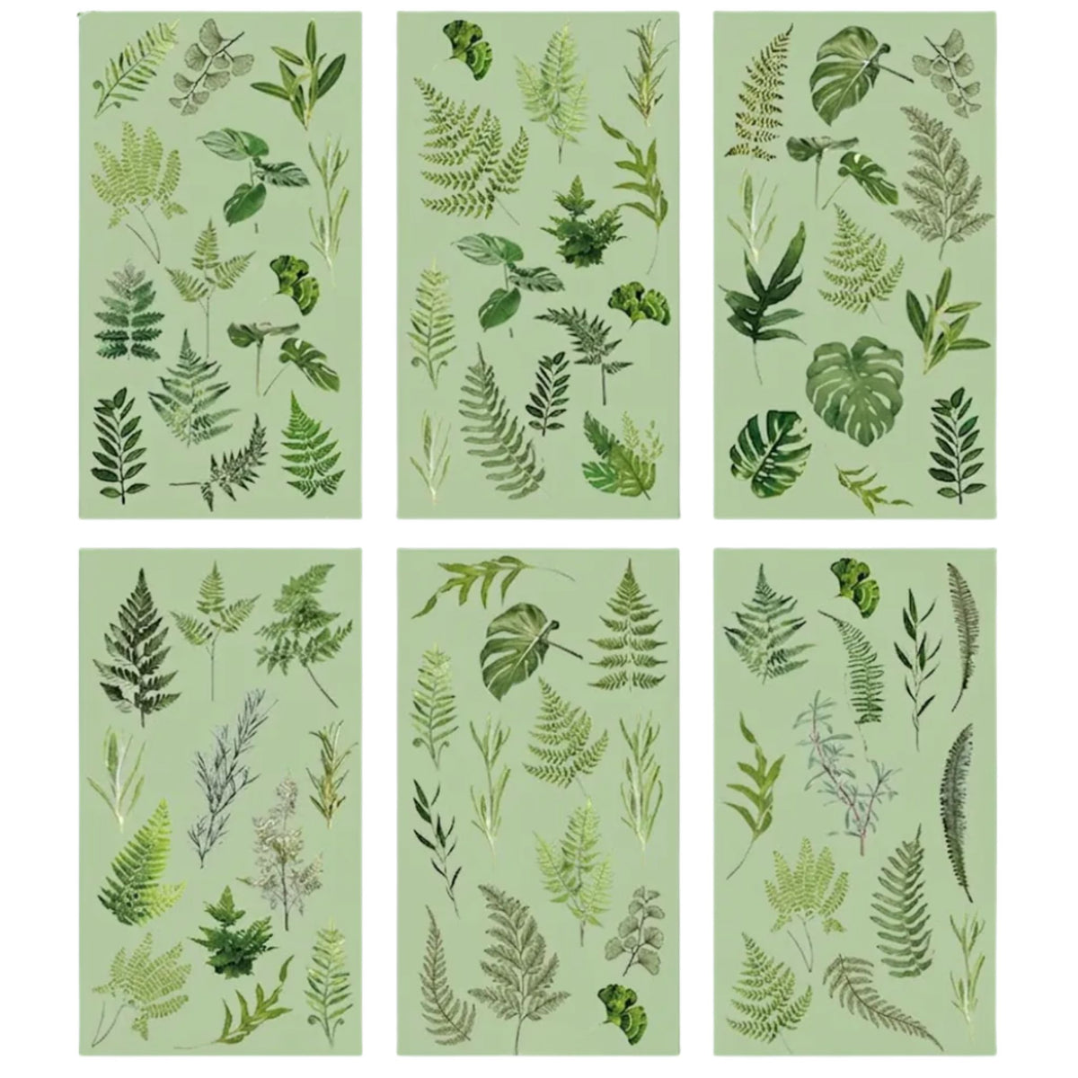 Fern Leaf Transparent PET Stickers - 6 Sheets