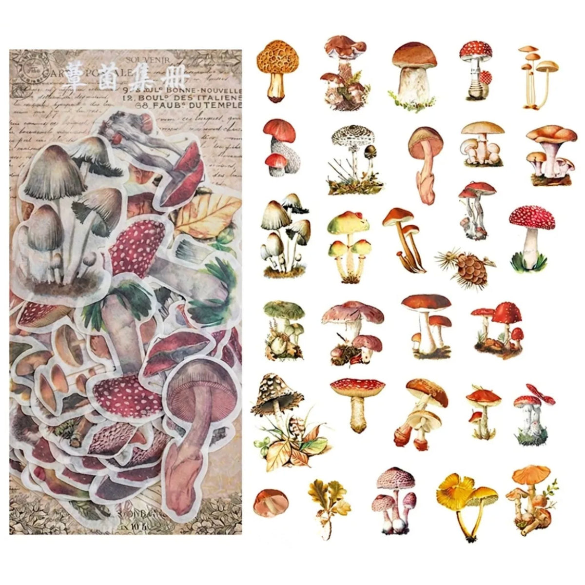 Mushroom Washi Stickers - 60 Pieces