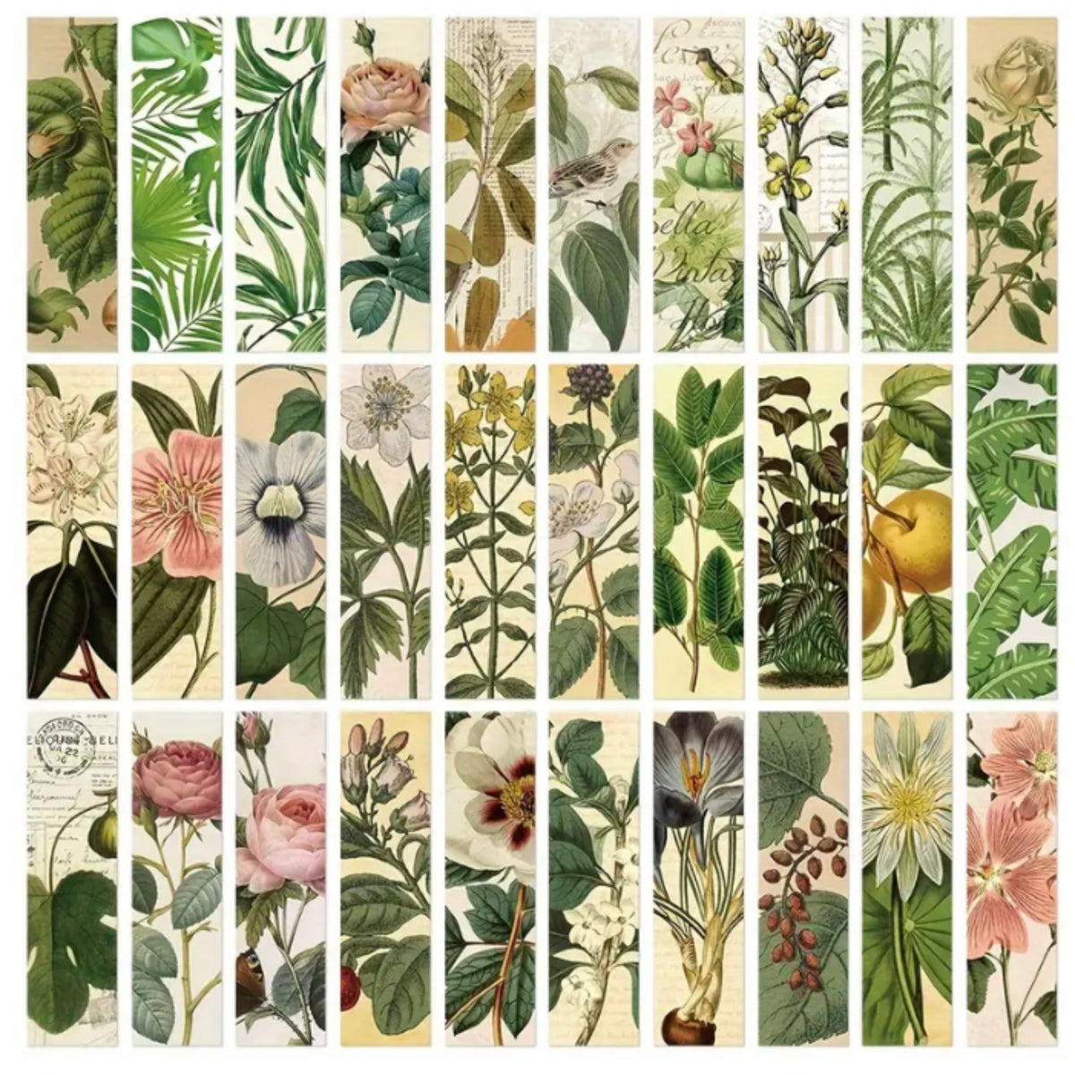 Botanical Flower Design Bookmarks - Set of 5