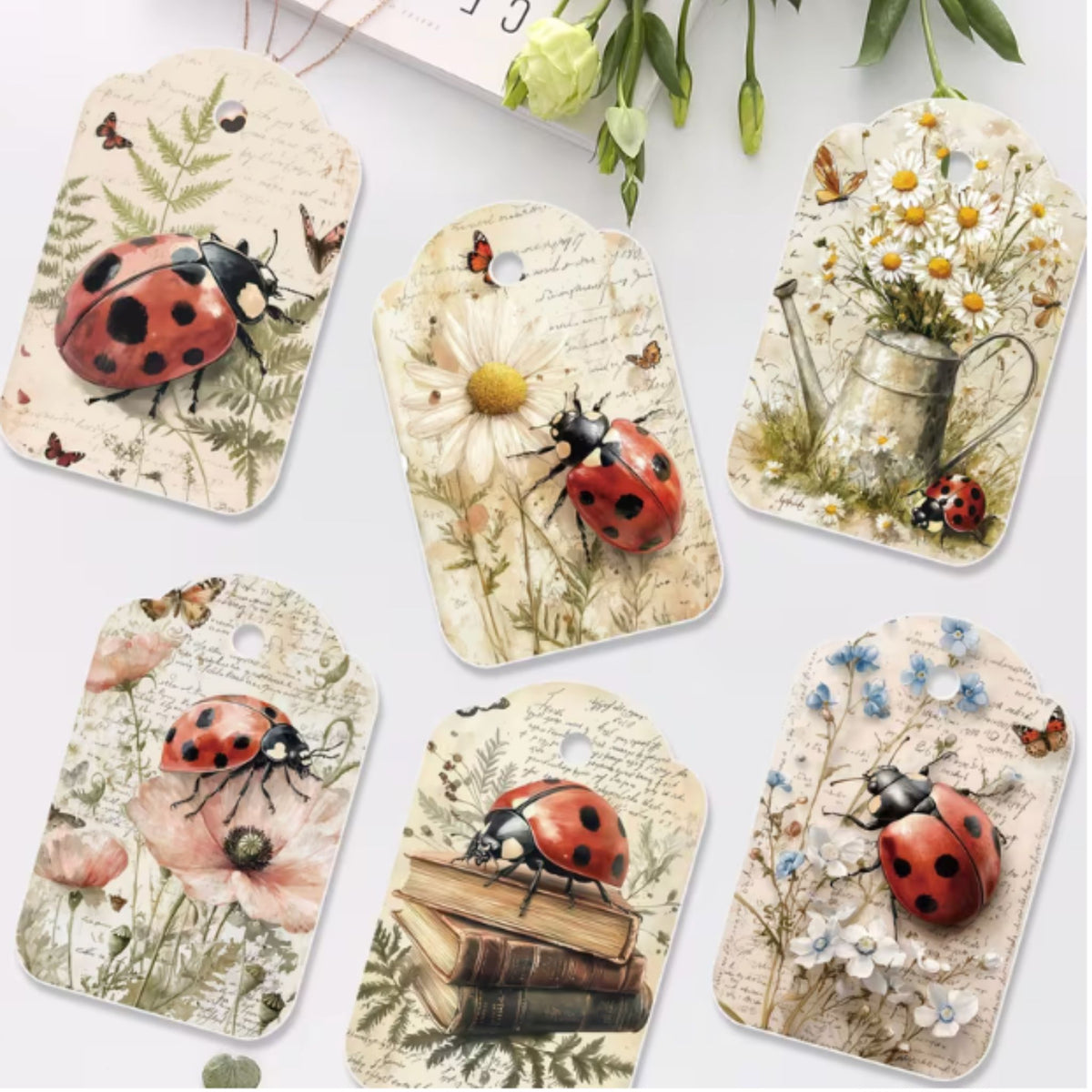 Ladybird Ladybug Design Gift Tags - Set of 12