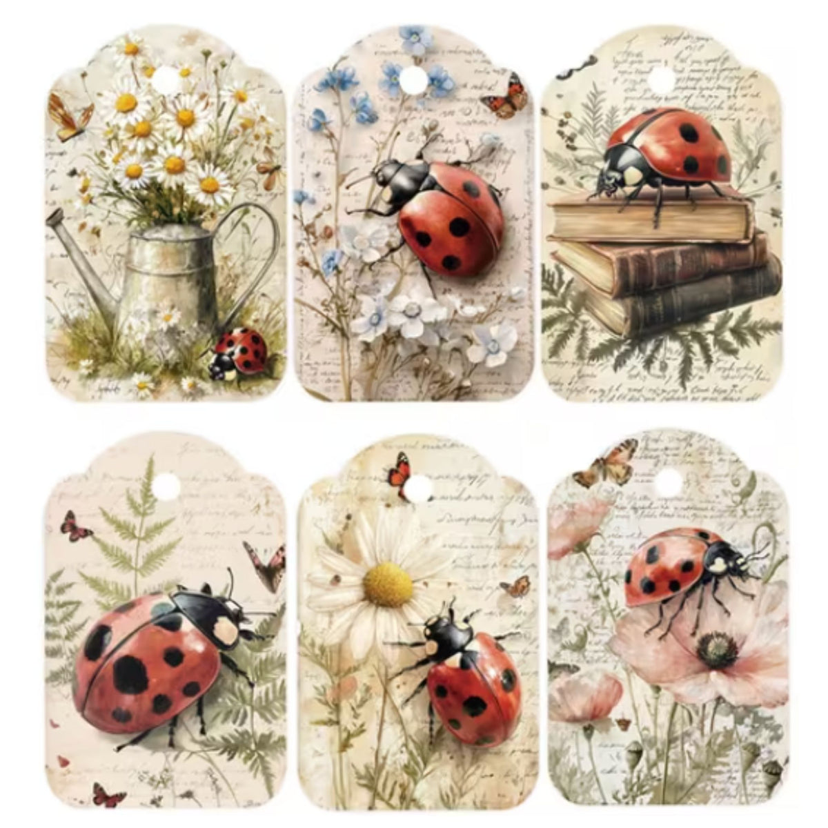 Ladybird Ladybug Design Gift Tags - Set of 12