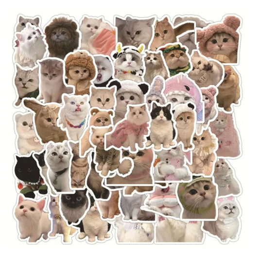 Realistic Cat Stickers - 60 Pieces
