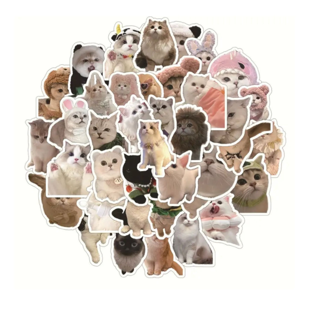 Realistic Cat Stickers - 60 Pieces