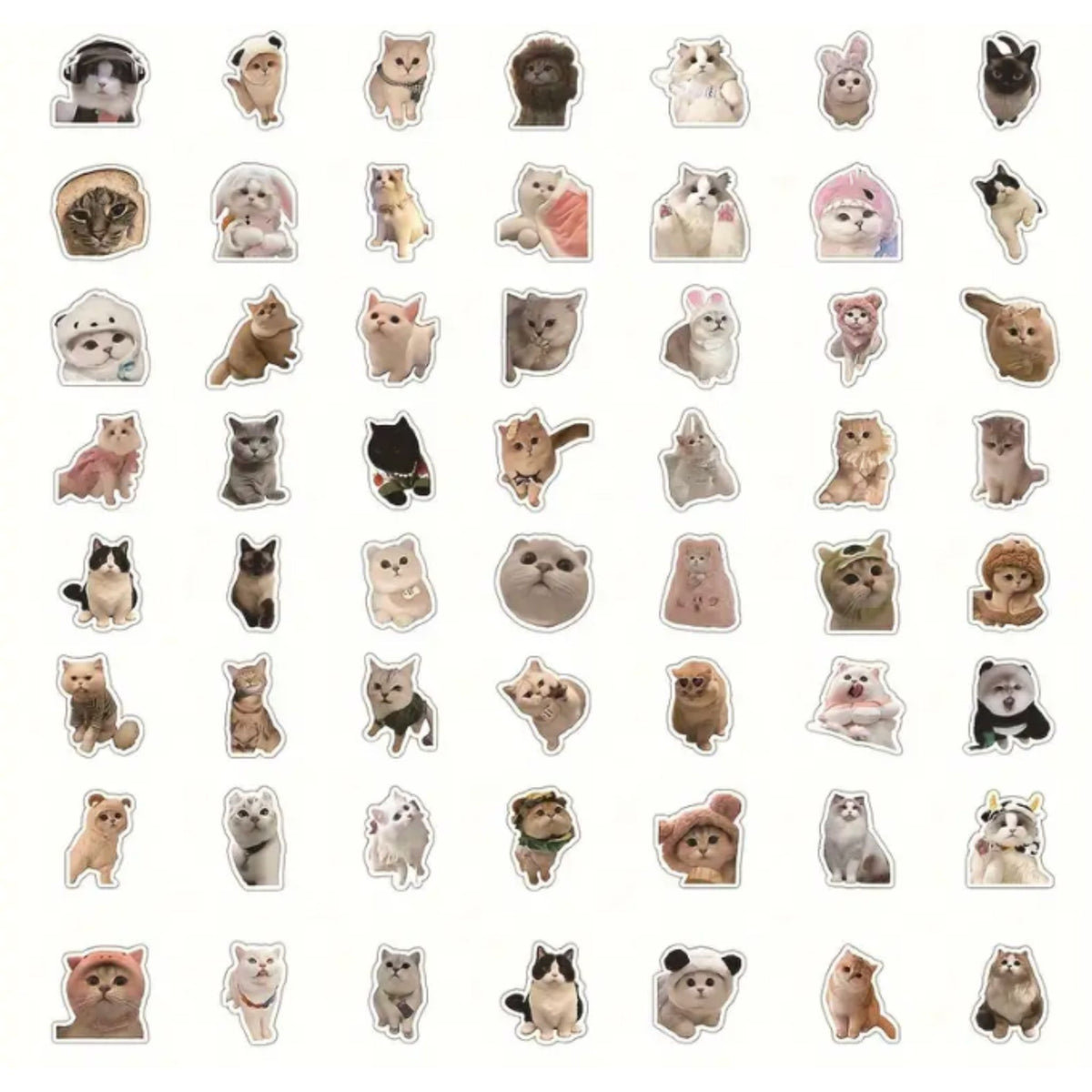Realistic Cat Stickers - 60 Pieces