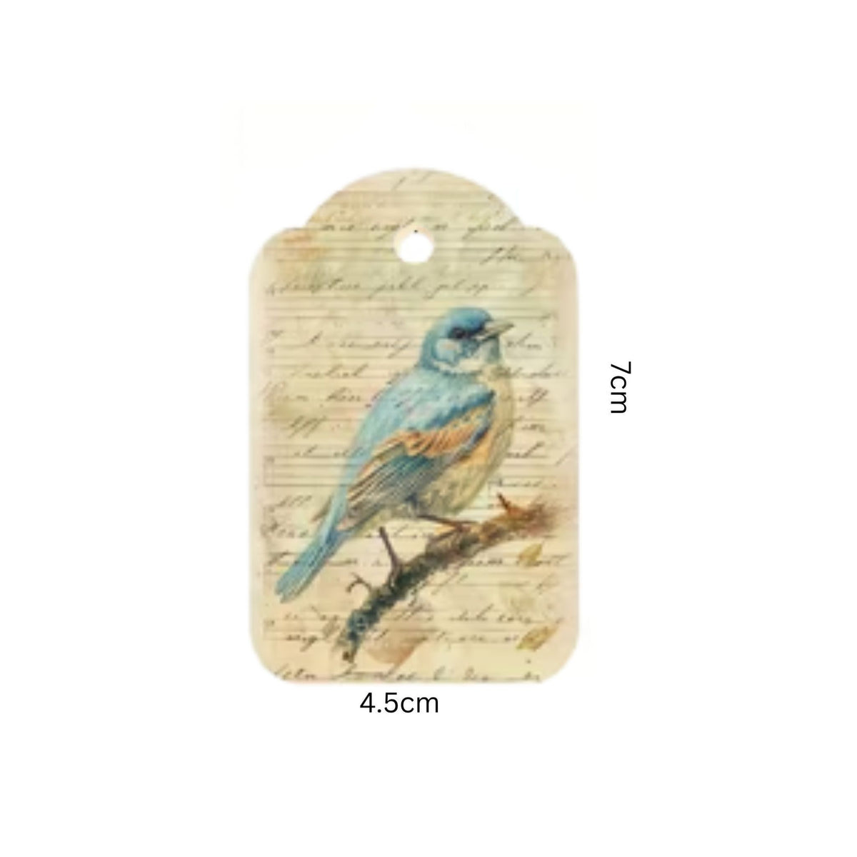 Retro Bird Design Gift Tags - Set of 12