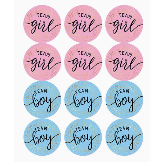 Gender Reveal Stickers #2 - 24 Pieces