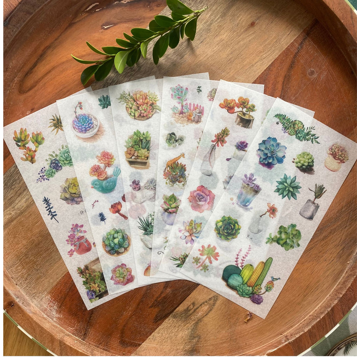 Succulent Plant Washi Stickers - 6 Sheets