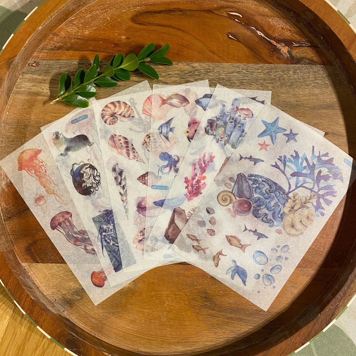 Ocean Sea Shell Washi Stickers - 6 Sheets