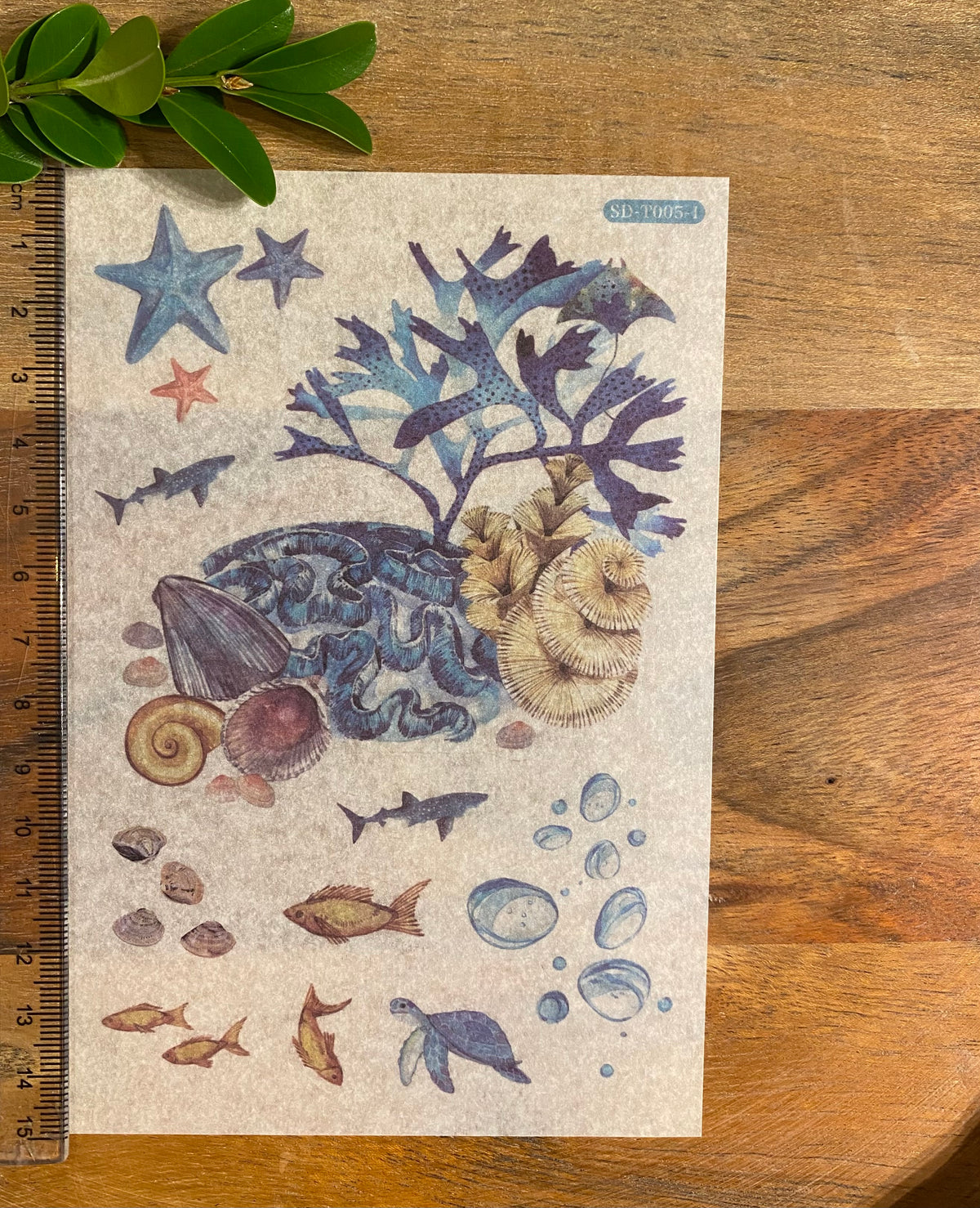 Ocean Sea Shell Washi Stickers - 6 Sheets