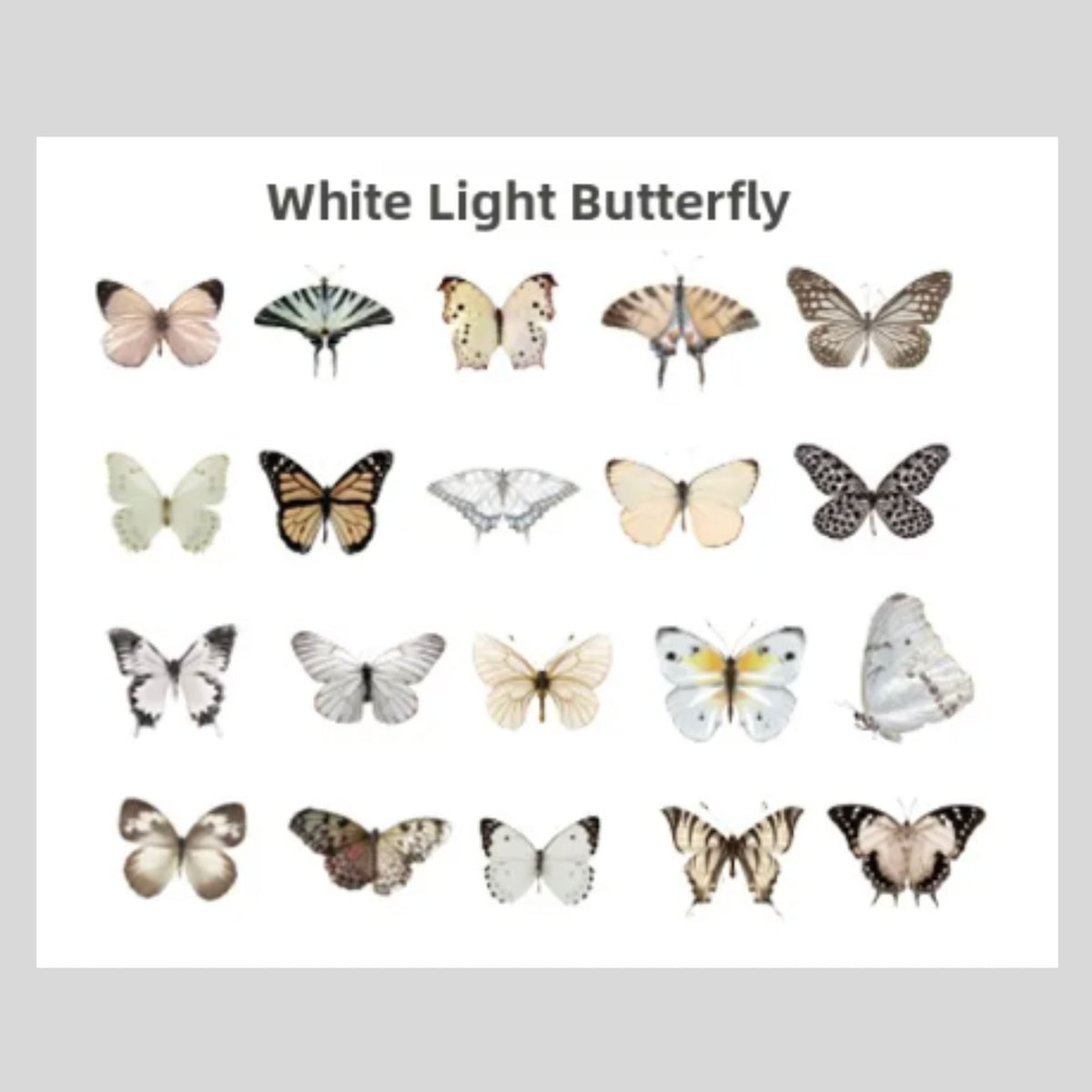 White Natural Butterfly PET Stickers - 40 Pieces
