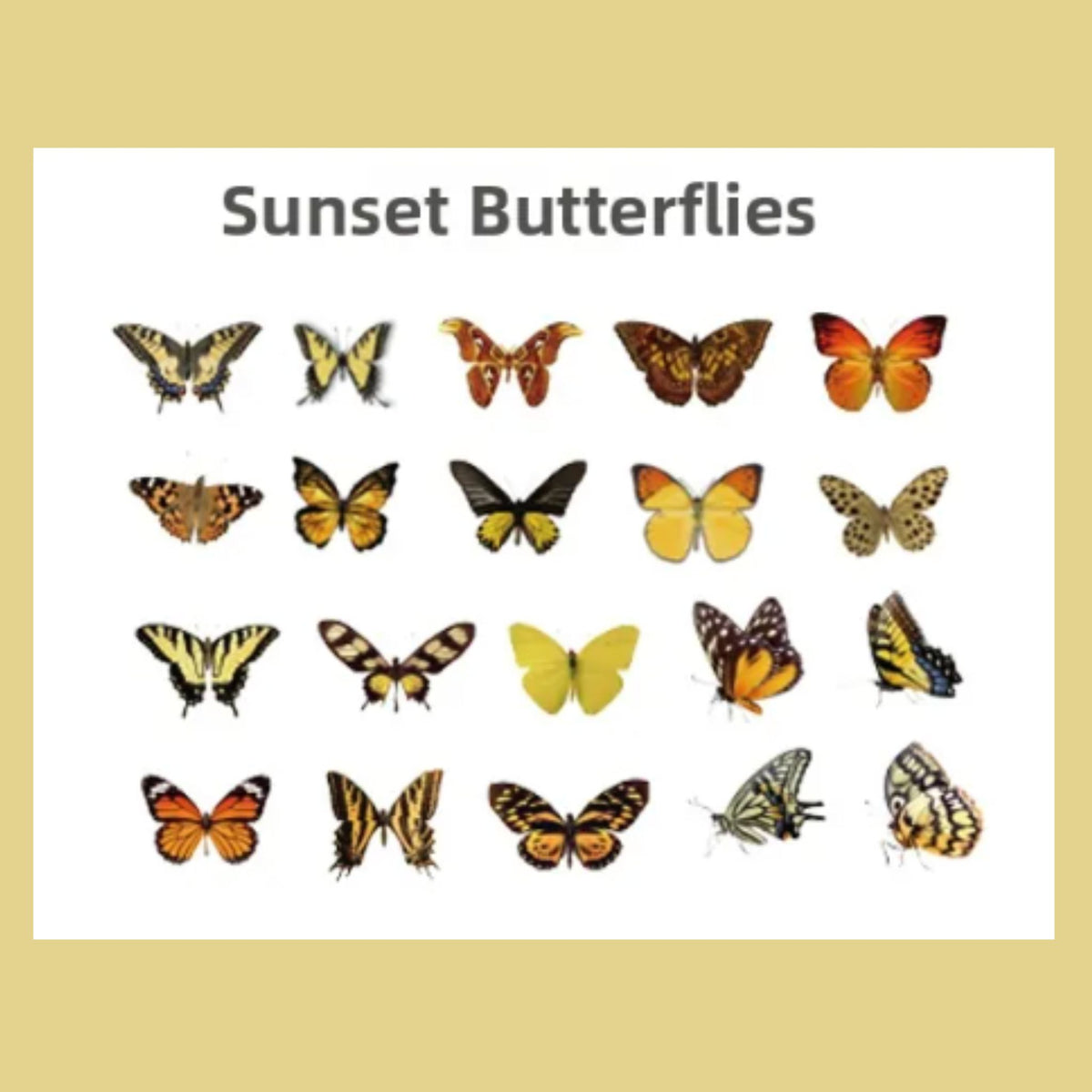 Yellow Sunset Butterfly PET Stickers - 40 Pieces